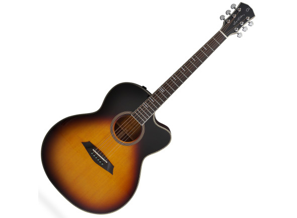 Sire Larry Carlton A4-G VS Sire Larry Carlton A4-G VS